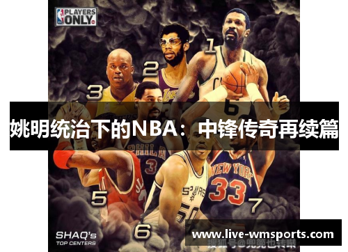 姚明统治下的NBA：中锋传奇再续篇