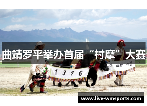 曲靖罗平举办首届“村摩”大赛